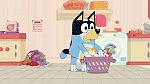 Bluey picture