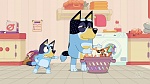 Bluey picture