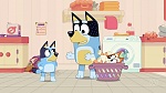 Bluey picture