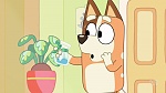 Bluey picture