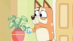 Bluey picture