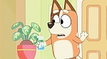 Bluey picture
