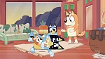 Bluey picture