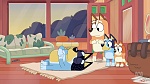Bluey picture