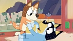 Bluey picture
