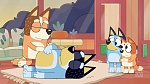 Bluey picture