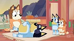Bluey picture