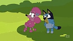 Bluey picture