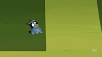Bluey picture