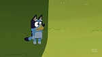 Bluey picture