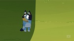 Bluey picture