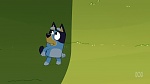 Bluey picture