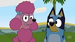 Bluey picture