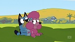 Bluey picture