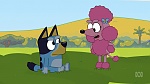 Bluey picture