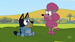 Bluey picture