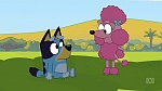 Bluey picture
