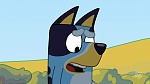 Bluey picture