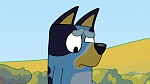Bluey picture