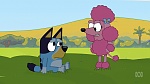 Bluey picture