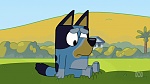 Bluey : Shadowlands picture