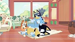 Bluey picture
