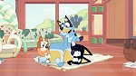 Bluey : The Weekend picture