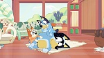 Bluey picture