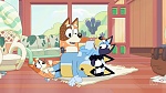 Bluey picture