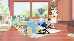 Bluey picture