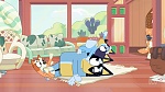 Bluey : The Weekend picture