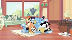 Bluey picture