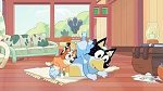 Bluey picture