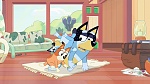 Bluey picture