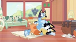 Bluey picture