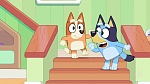 Bluey picture