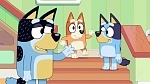 Bluey : The Weekend picture