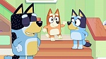 Bluey picture