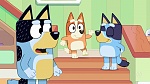 Bluey picture