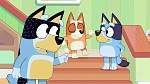 Bluey picture