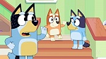 Bluey picture