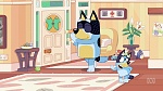 Bluey picture