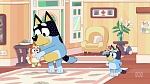 Bluey picture