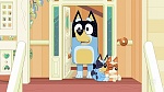 Bluey picture