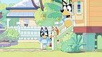 Bluey picture