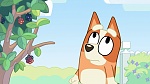 Bluey picture