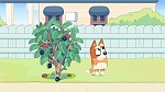 Bluey picture