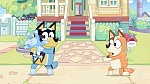 Bluey picture