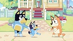 Bluey picture