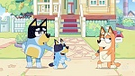 Bluey picture